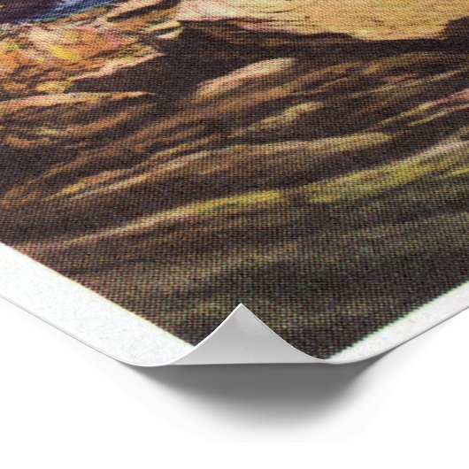 Uitzicht Bash-Bish Herfsten bij Great Barrington Poster (Hoek)