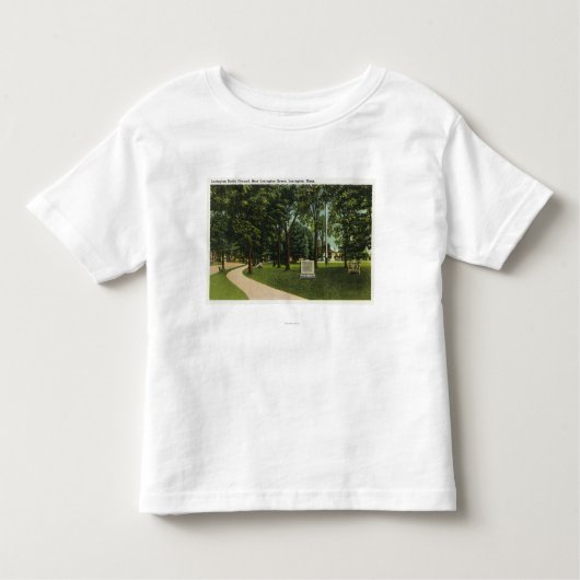 Uitzicht Battle Ground, nu Lexington Green Kinder Shirts (Voorkant)
