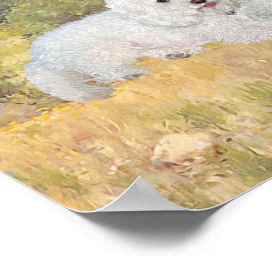 Uitzicht Bichon Frise Meadow Poster (Hoek)