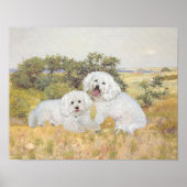 Uitzicht Bichon Frise Meadow Poster (Voorkant)