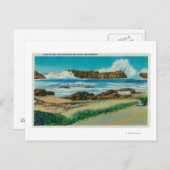 Uitzicht bij Seal Rock tussen Waldport en Newport Briefkaart (Voorkant / Achterkant)