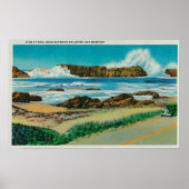 Uitzicht bij Seal Rock tussen Waldport en Newport Poster (Voorkant)