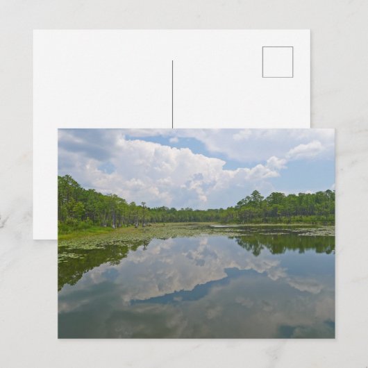  Uitzicht bij Tallahassee Florida Briefkaart (Voorkant / Achterkant)