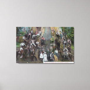 Uitzicht Boole, de grootste boom ter wereld Canvas Afdruk