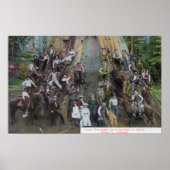 Uitzicht Boole, de grootste boom ter wereld Poster (Voorkant)