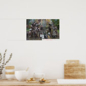 Uitzicht Boole, de grootste boom ter wereld Poster (Keuken)