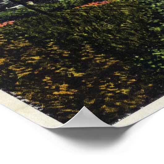 Uitzicht boten bij de Narrows Poster (Hoek)