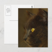 Uitzicht Briefkaart (Voorkant / Achterkant)