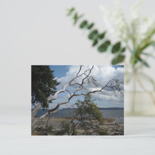 Uitzicht Briefkaart (Staand voorkant)