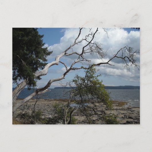 Uitzicht Briefkaart (Voorkant)