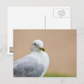 Uitzicht Briefkaart (Voorkant / Achterkant)