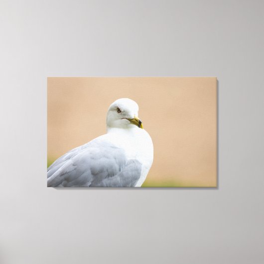Uitzicht Canvas Afdruk (Voorkant)