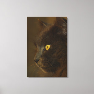 Uitzicht Canvas Afdruk