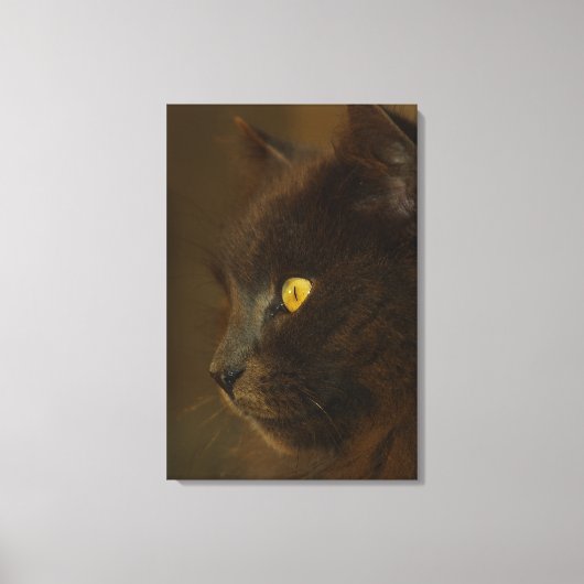 Uitzicht Canvas Afdruk (Voorkant)