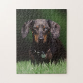 Uitzicht Dachshund met Dapple-kleurstof Legpuzzel (Verticaal)