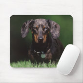Uitzicht Dachshund met Dapple-kleurstof Muismat (Met muis)