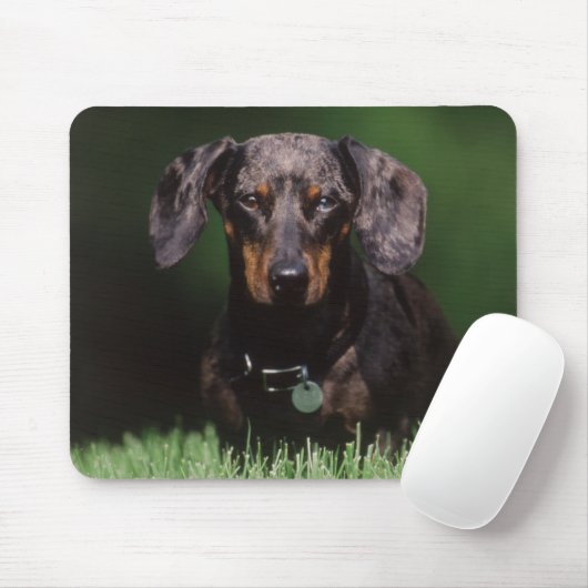 Uitzicht Dachshund met Dapple-kleurstof Muismat (Met muis)