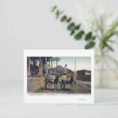 Uitzicht Donkeys Carrying WaterBisbee, AZ Briefkaart (Staand voorkant)