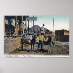 Uitzicht Donkeys Carrying WaterBisbee, AZ Poster