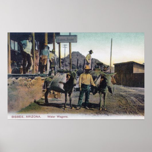 Uitzicht Donkeys Carrying WaterBisbee, AZ Poster (Voorkant)