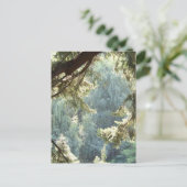 Uitzicht door de Bomen Briefkaart (Staand voorkant)