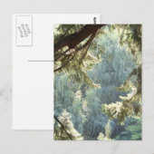Uitzicht door de Bomen Briefkaart (Voorkant / Achterkant)