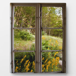 Uitzicht door oud venster fotoplaat