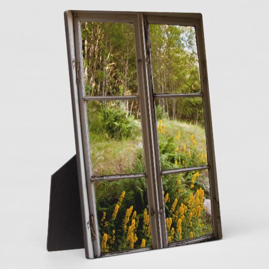 Uitzicht door oud venster fotoplaat (Zijkant)