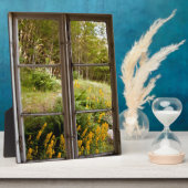 Uitzicht door oud venster fotoplaat (Zijkant)