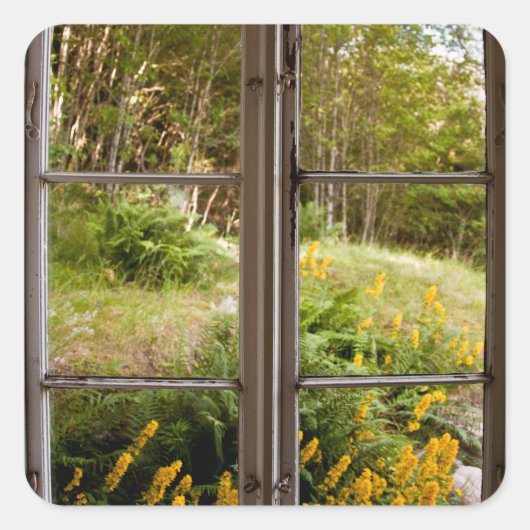 Uitzicht door oud venster vierkante sticker (Voorkant)