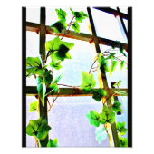 Uitzicht Foto Afdruk (Voorkant)