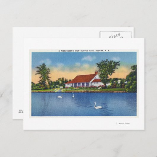 Uitzicht Hoopes Park Swans op het meer Briefkaart (Voorkant / Achterkant)