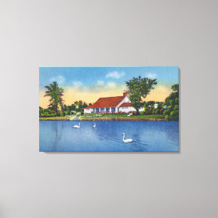 Uitzicht Hoopes Park Swans op het meer Canvas Afdruk