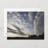 Uitzicht Horizon Sky met wolken Briefkaart (Voorkant / Achterkant)