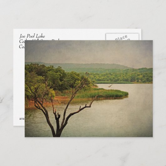 Uitzicht in Cedar Hill briefkaart (Voorkant / Achterkant)