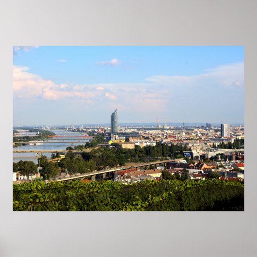 Uitzicht in Wenen Poster (Voorkant)