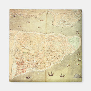 Uitzicht Istanbul Magneet