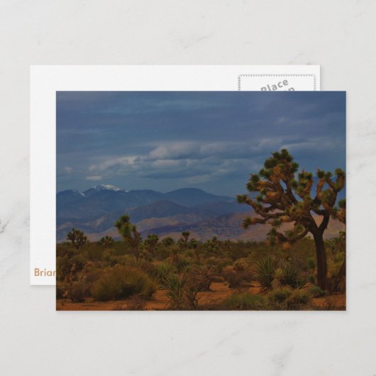 Uitzicht Joshua Tree Briefkaart (Voorkant / Achterkant)