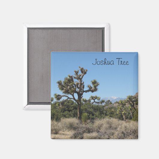 Uitzicht Joshua Tree Magneet (Voorkant / Achterkant)