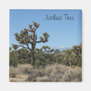 Uitzicht Joshua Tree Magneet