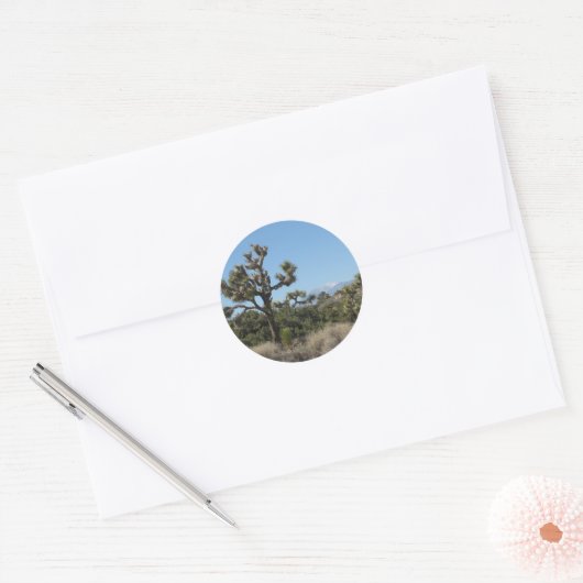 Uitzicht Joshua Tree Ronde Sticker (Envelop)