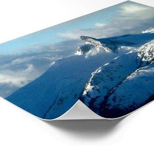 Uitzicht klokflits poster (Hoek)