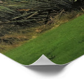 Uitzicht langs de weg in Nieuw-Zeeland Poster (Hoek)