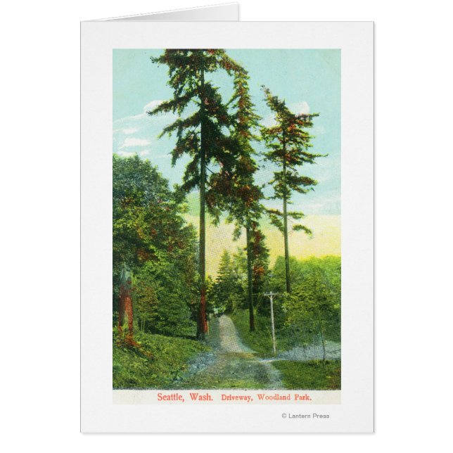 Uitzicht langs de weg in Woodland Park (Voorkant)