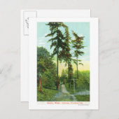 Uitzicht langs de weg in Woodland Park Briefkaart (Voorkant / Achterkant)