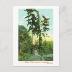 Uitzicht langs de weg in Woodland Park Briefkaart