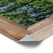 Uitzicht Leafy Tree van een venster Poster (Hoek)