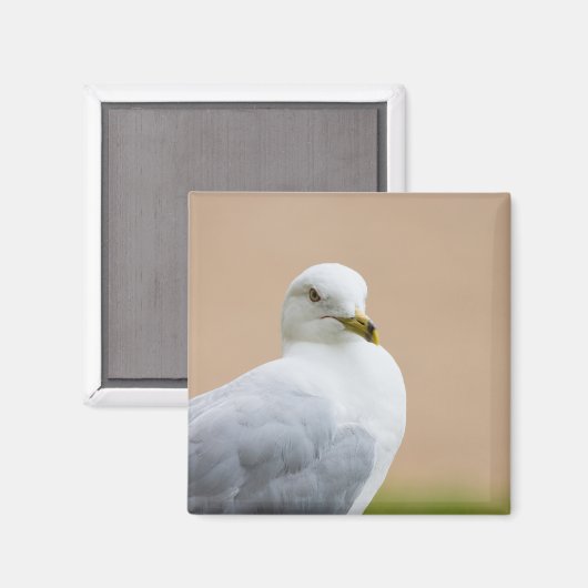 Uitzicht Magneet (Voorkant / Achterkant)