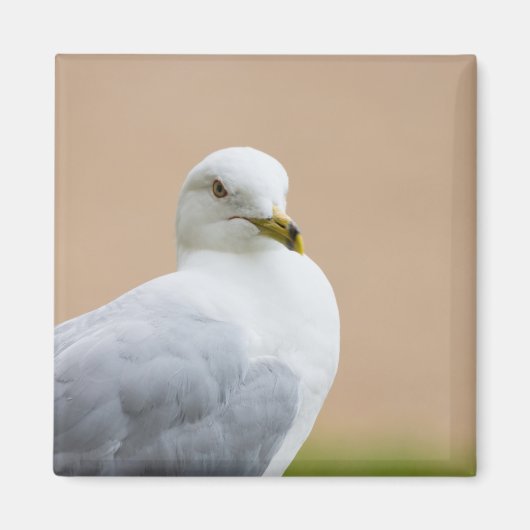 Uitzicht Magneet (Voorkant)