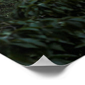 Uitzicht Manhattan Buildings Poster (Hoek)